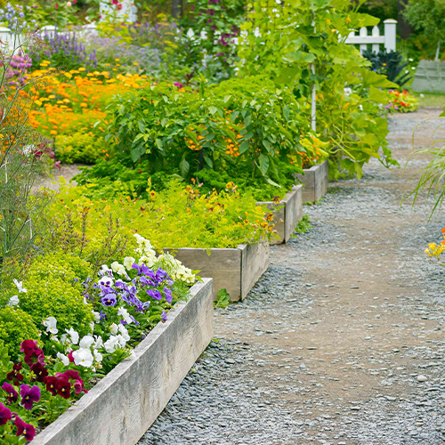 Bangur Yatri Nivas Garden